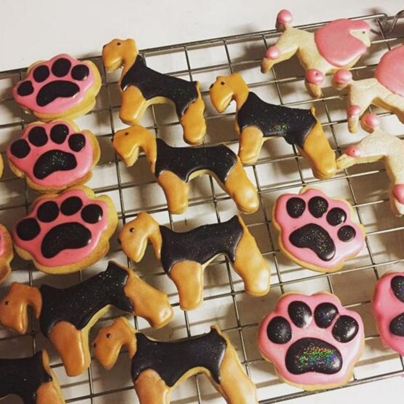 EORTA Puppy Dog Paw and Bone Shaped Cookie Cutter, Stainless Steel Biscuit/Fondant Molds Homemade Baking Tools by EORTA for Kids, Party, Dishwasher Safe, Set of 5 - Image 3